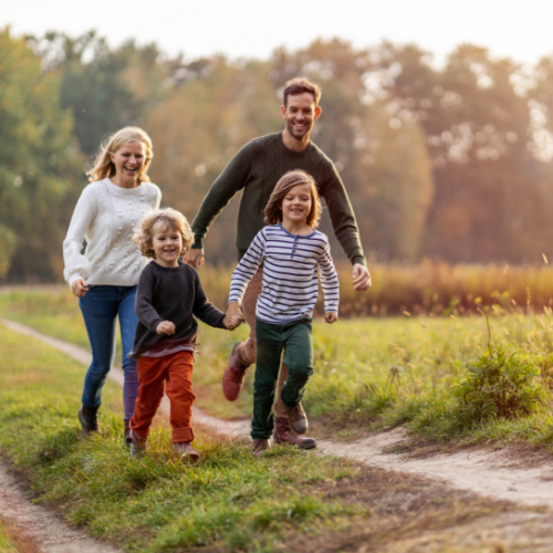 Physical Therapy Viola, AR